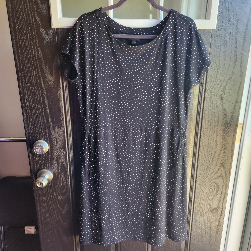 J. Jill Wearever Black Polka Dot Dress